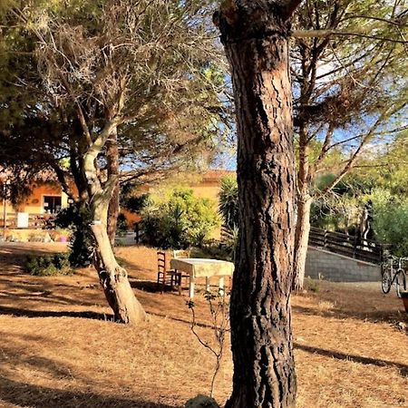Il Lentischio Del Sinis Villa Putzu Idu Exterior photo